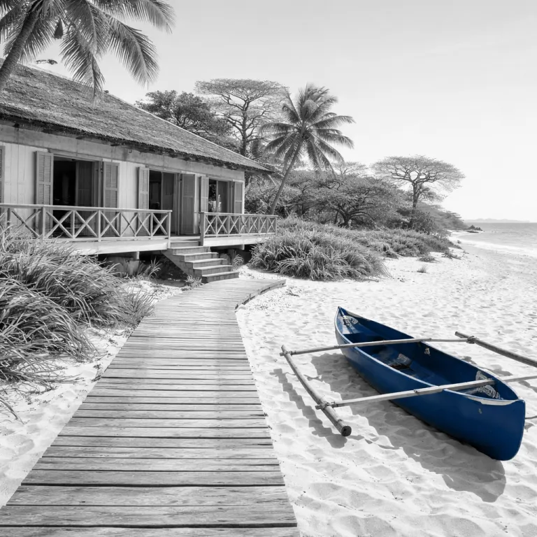 Madagascar's 2025 Recovery and the 2026 Outlook: What Repeat Visitors Will Notice